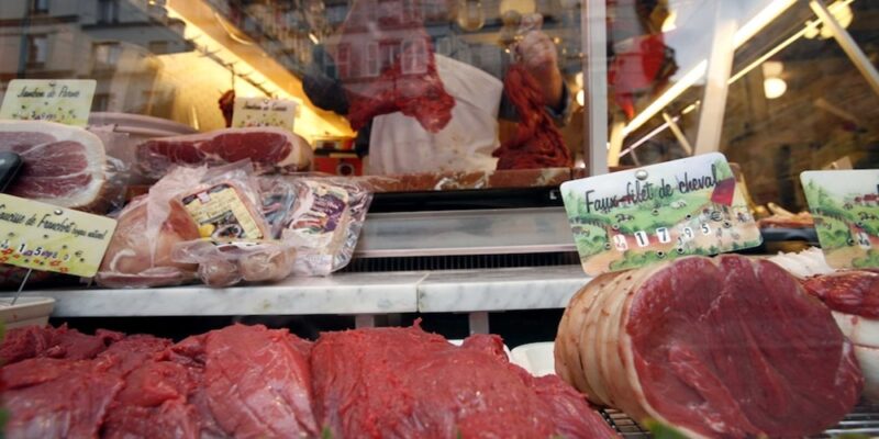 nother factor that may contribute to the ban on horse meat in Australia is cultural attitudes towards horses