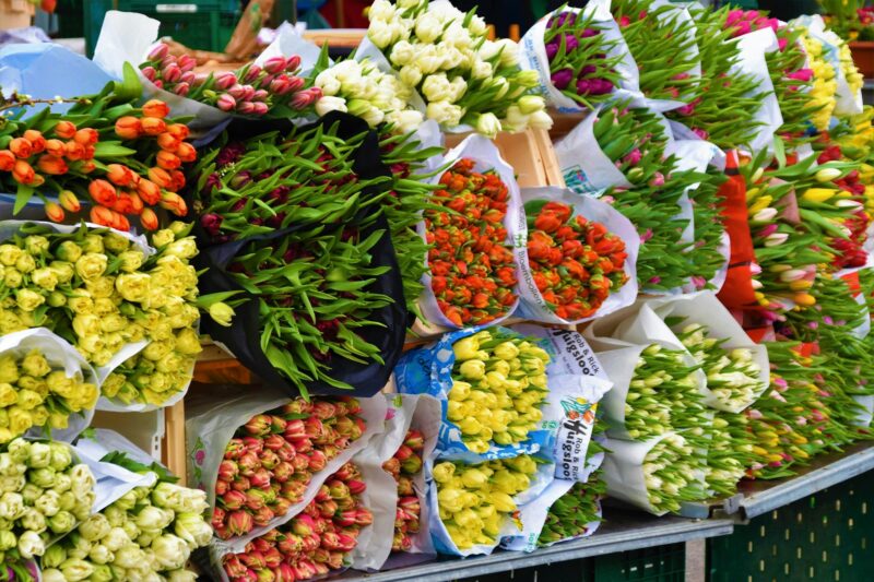 Can anyone go to the Sydney Flower Market? 2 Can Anyone Visit the Sydney Flower Market