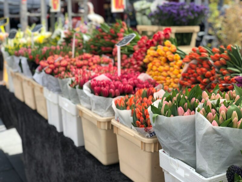 Can anyone go to the Sydney Flower Market? 1 Can anyone go to the Sydney Flower Market