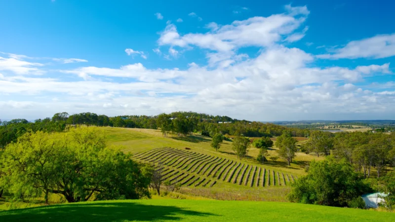 What is the best wine region in Australia? 1