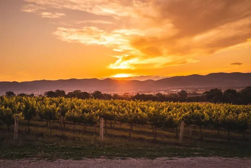 What is the best wine region in Australia? 3