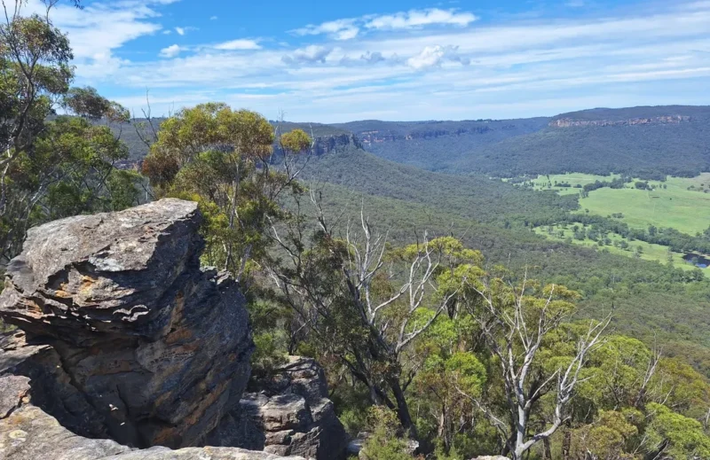 One Tree Hill Blue Mountains