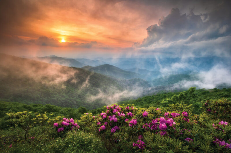 Blue Mountain Flower Festival