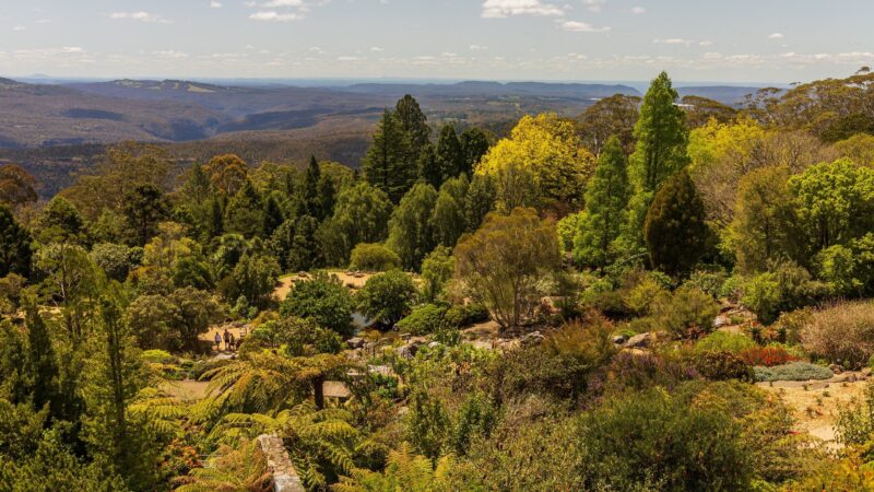 Blue Mountains Botanical Gardens is the Most Beautiful Indoor Garden in the World