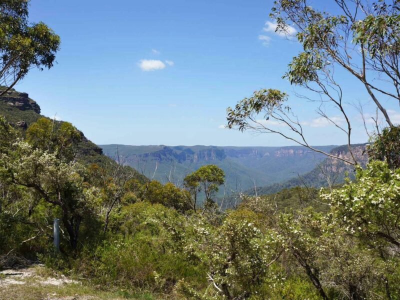 Where are the Blue Mountains? 3