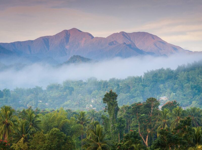 Is Blue Mountain an actual mountain? 1 Blue Mountains region of Jamaica