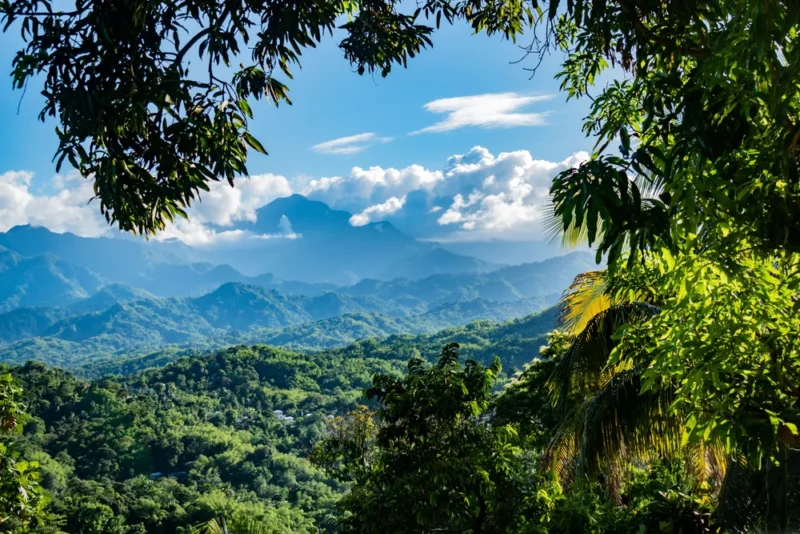 What are the Blue Mountains of Jamaica known for? 2
