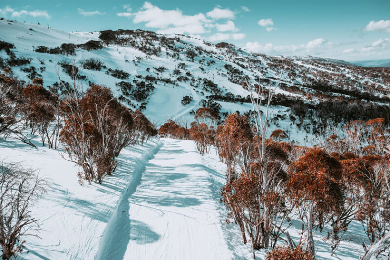 Where should I go on a road trip in NSW? 3