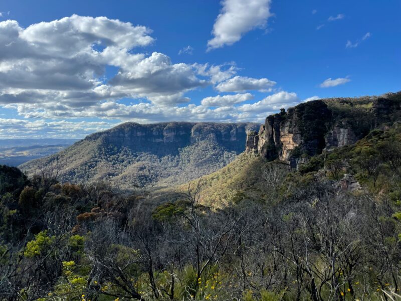 What is the blue haze in the Blue Mountains?