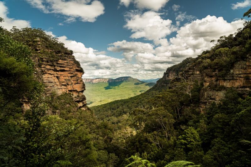 What is the closest station to the Blue Mountains