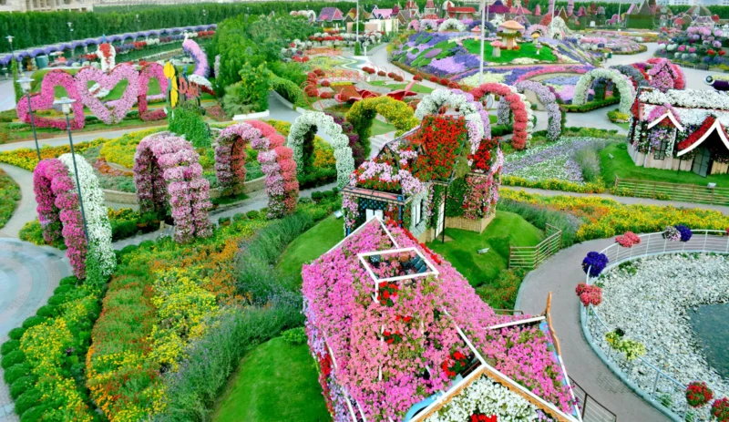 What to Expect Dubai Miracle Garden